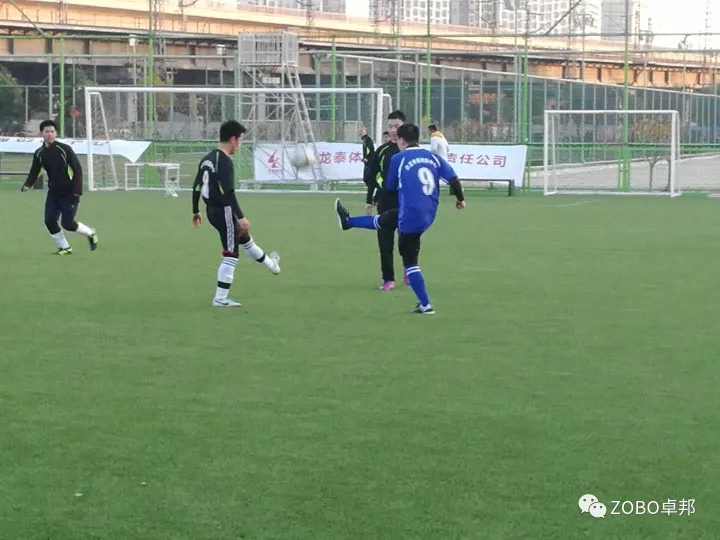 ZOBO香蕉91下载