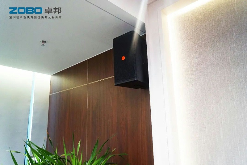 一级香蕉视频在线设备和会议扬声器系统安装的要点