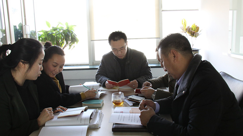 中共北京香蕉91下载电子技术有限公司支部委员会成立