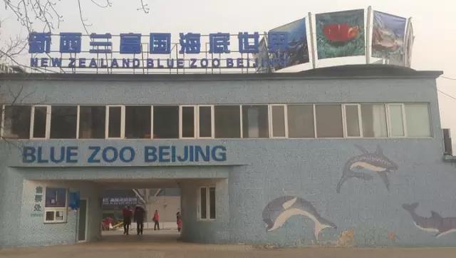 案例 ▎ZOBO香蕉91下载为富国海底世界打造音视频系统